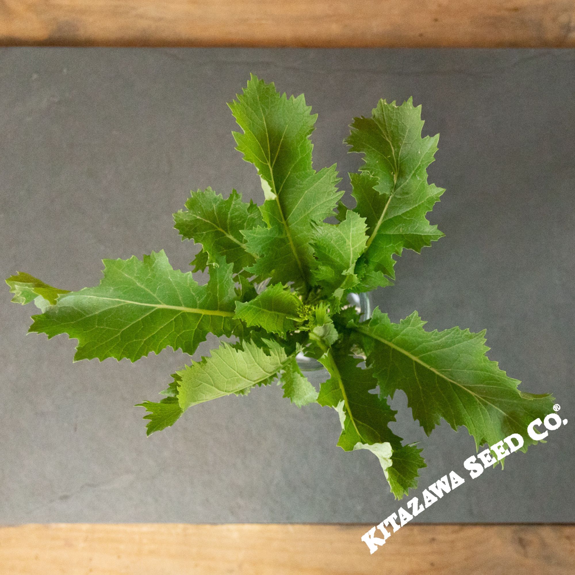 Mustard Seeds - Serifon (Suehlihung) -5 Lb Bulk ~760000 Seeds - Non-GMO, Heirloom - Asian Garden Vegetable, Microgreens & Herb G